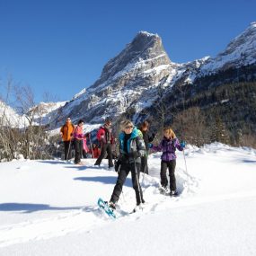 raquettes en groupe en hiver à la montagne