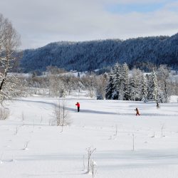 ski de fond chapelle des bois