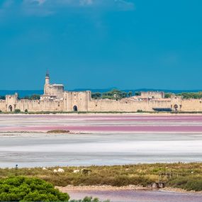 camargue