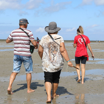 activités sports noirmoutier
