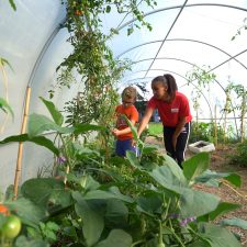 enfant nature ferte